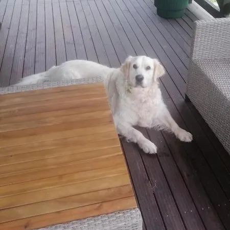 Casa de Campo Wisniowe Zacisze -