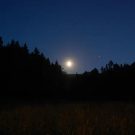 Landsted Wisniowe Zacisze - *