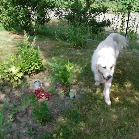 Landsted Wisniowe Zacisze - *