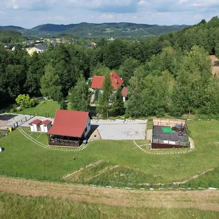 Séjour à la campagne Wisniowe Zacisze - *