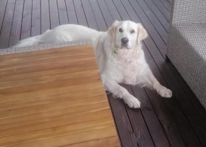 乡村民宿 Wisniowe Zacisze -