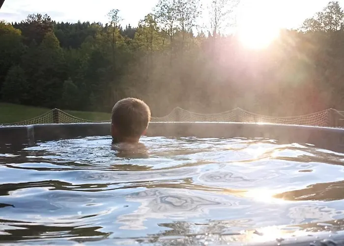 乡村民宿 Wisniowe Zacisze - *