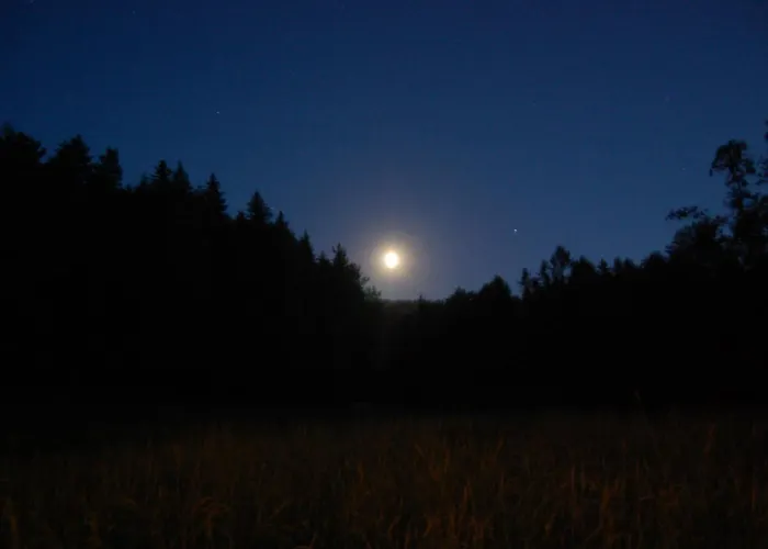 乡村民宿 Wisniowe Zacisze - *