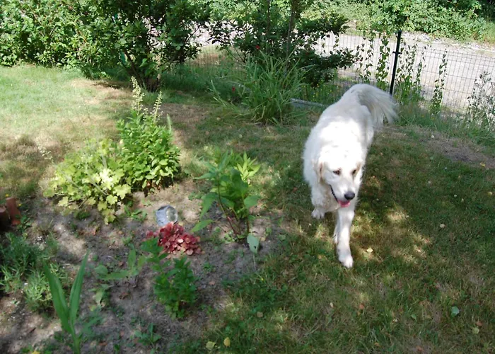 乡村民宿 Wisniowe Zacisze - *