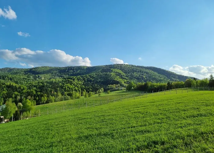 Wisniowe Zacisze - 乡村民宿 *