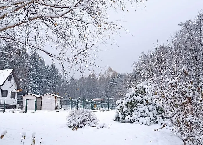 Wisniowe Zacisze - 乡村民宿 Sułkowice