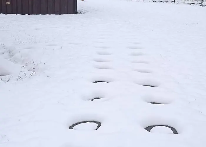 乡村民宿 Wisniowe Zacisze - *